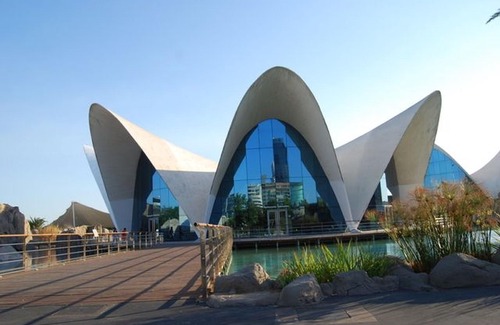 Ciutat de les Arts i les Ciencies Hotel | Rooms Ciencias