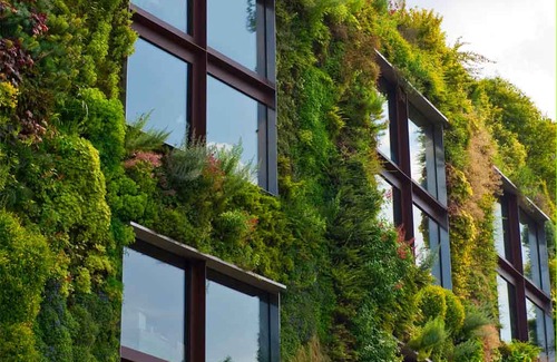 Zona Rosa Hotel | Sofitel Bogota Victoria Regia