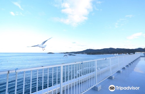 Shizugawa Hotel | Minamisanriku Hotel Kanyo