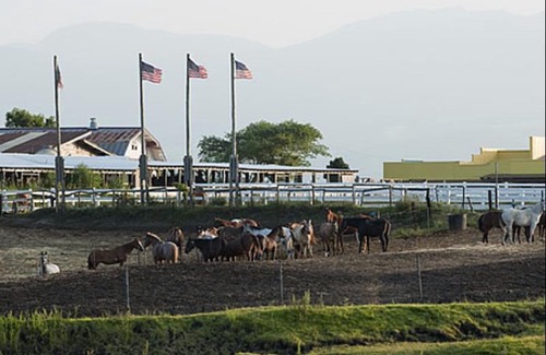 Aso Hotel | El Patio Ranch