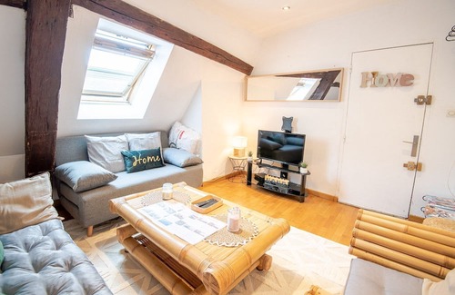 Amboise Apartment | Le petit soleil - Le T2 Climatisé