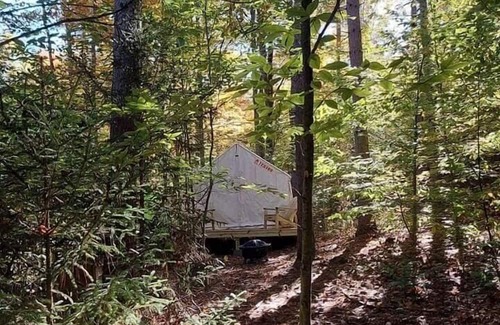 East Calais RV Rental | Tentrr Signature Site - Owl Avenue