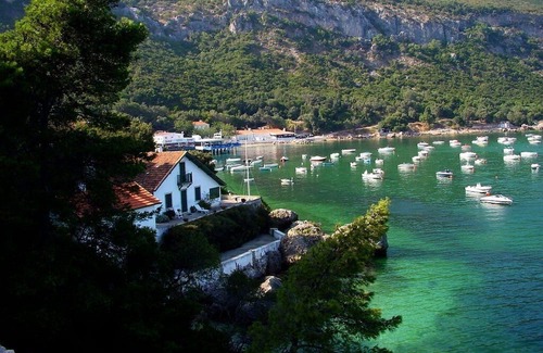 Quinta Do Conde House | Small pine forest Villa Sesimbra