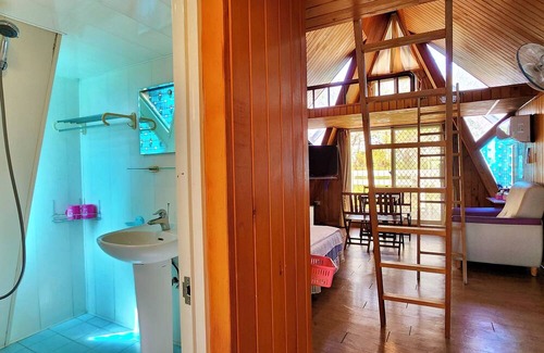 Dongshan Bed & Breakfast | Kite Farm