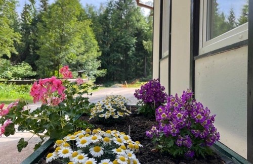Geising House | Vacation home for 8 guests with 110m² in Altenberg (270758)