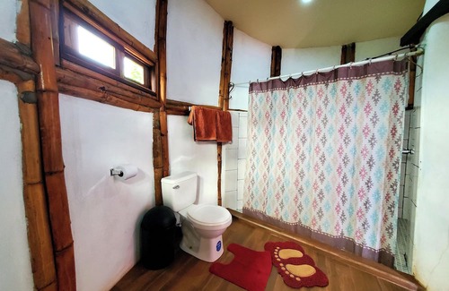 Merida Cabin | The Jungle
