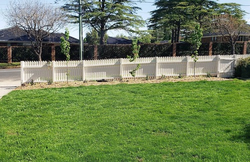 Armidale House | Boutique Cottage on Mann