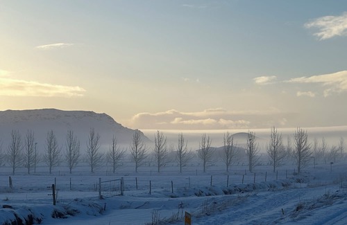 Sveitarfelagid Olfus Apartment | Fancy Iceland? Central location in South Iceland.