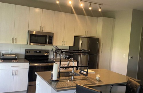 Chillum Apartment | Cozy studio with WiFi, AC in fantastic Hyattsville