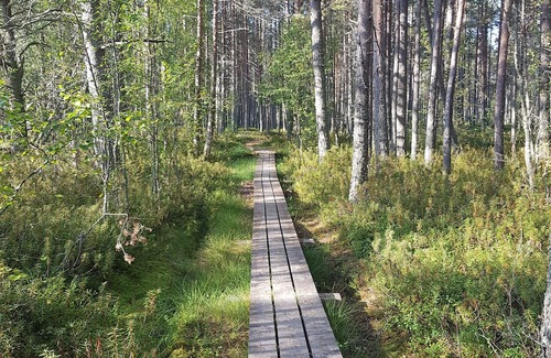 Hailuoto Cottage | Cozy little cottage for couples on the island of Hailuoto near Oulu, Finland.