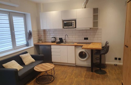Kaunas Apartment | Urban Oasis Studios
