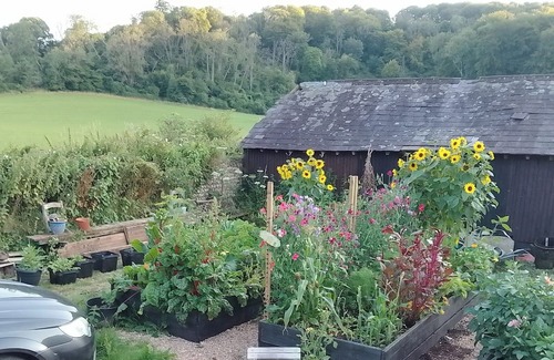 Sutton Cabin | complete chill out
