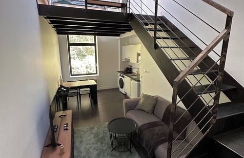 9th Arrondissement Apartment | Appartement sur les Q Uais Joseph Gillet