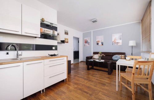 Chorzow Apartment | Działkowa Apartment Chorzów by Renters