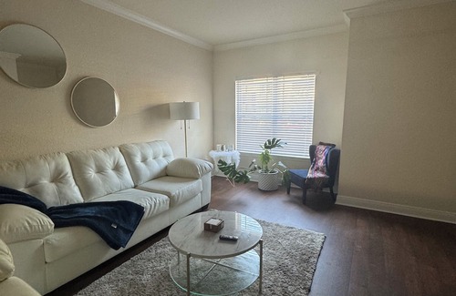 New Tampa Apartment | Spacious 2br , 2bath in the New Tampa area