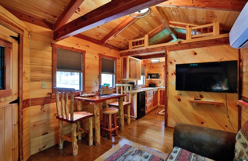 Eldred Cabin | Secluded Cabin on a Private Lake w/kayaks and great outdoor activities