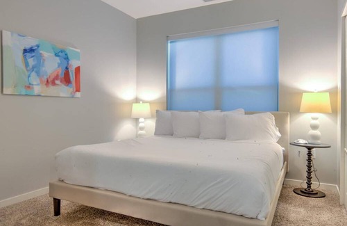 DeBaliviere Place Apartment | St. Louis | Trendy 1BD/1BA Forest Park Apartment