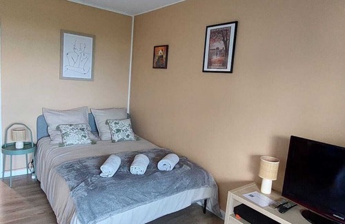 Montrichard Val de Cher Apartment | Studio Le Cosy