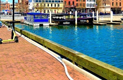 Downtown Baltimore Apartment | Experience the comfort of a studio that feels like home.
