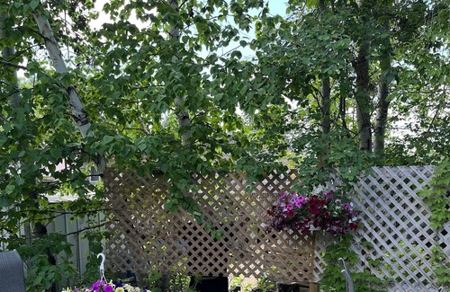 Christopher Lake Cabin | Escape To The Lake
