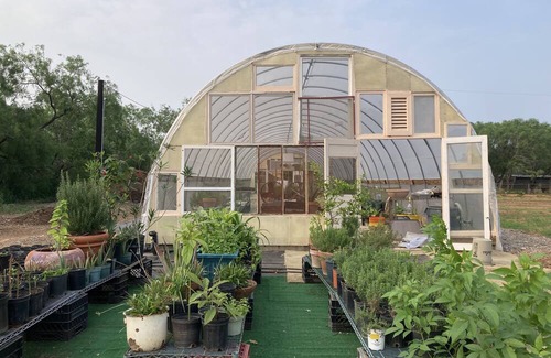 Elmendorf Apartment | Tiny home nestled in a small patch of forest 20 minutes south of San Antonio.