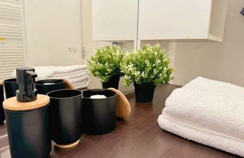 Bussy-Saint-Georges Apartment | Charming Apartment - 5mn RER A / 15mn Disneyland