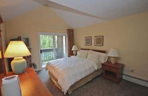 Brownsville Condo | Cozy Condo for Skiing, Hiking & Biking Lovers