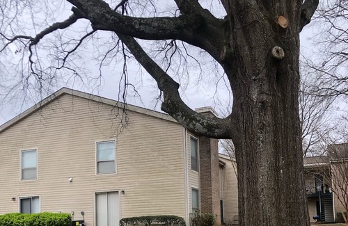 Ellendale Condo | Month to Month dogs allowed