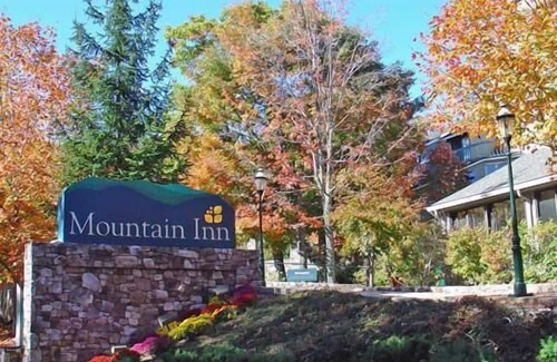 Wintergreen Condo | Mountain Inn Lodge 61 with Wintergreen Advantage