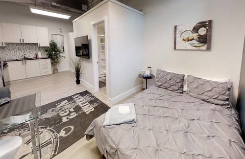 Sandy Hill Apartment | Bachelor apartment in downtown!