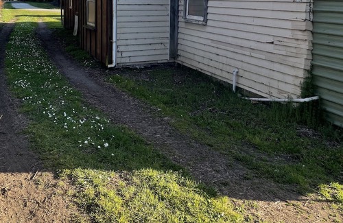 Motueka Cottage | orchard hide away