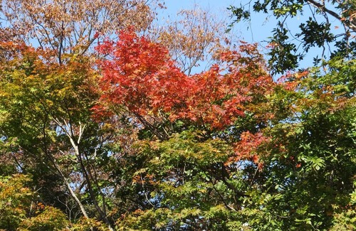 Nasu RV Rental | Grace With private openair bath WeekdaysCapaci / Nasu county Tochigi