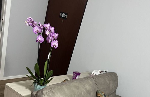 Borgo Milano Apartment | A Casa di Rosy è Un'appartamento Accogliente e Super Accessoriato