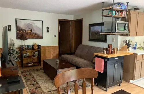 Harris House | Cozy lake place close to the cities on Goose Lake