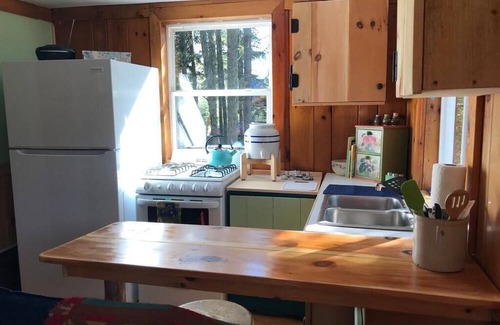 Bloomingdale Cabin | Ten/ twenty minutes to Lake Placid, Whiteface Mnt. Saranac Lake!