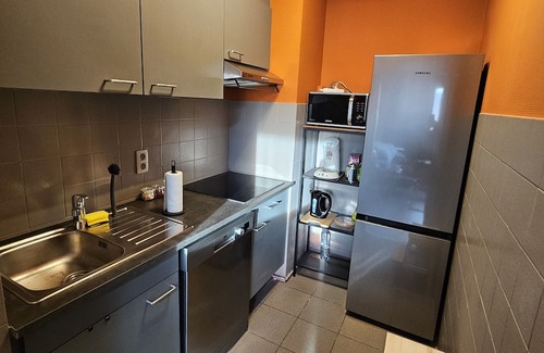 Haringrode Apartment | Enjoy the Center of Antwerpen With This Elegant Refreshed Appartement