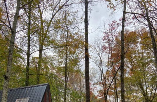 Means Cabin | Glamping Unit #2 - Punkin Hollow Resort