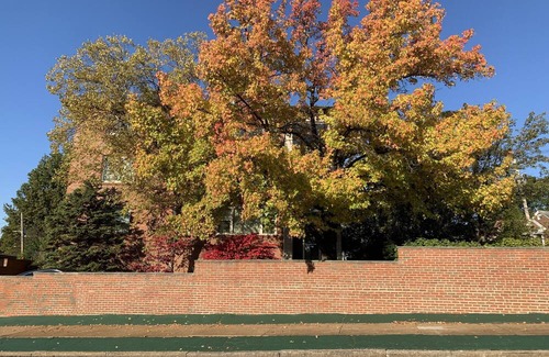 Lindenwood Park Condo | 3,400 sq ft condo near The Hill / Shrewsbury / Forest Park