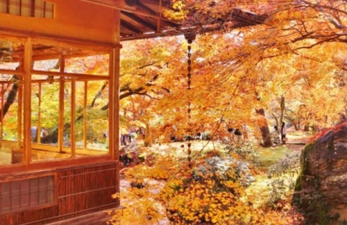 Arashiyama House | 10 tatami Japanesestyle room 1 night with breakf /Kyoto Kyōto