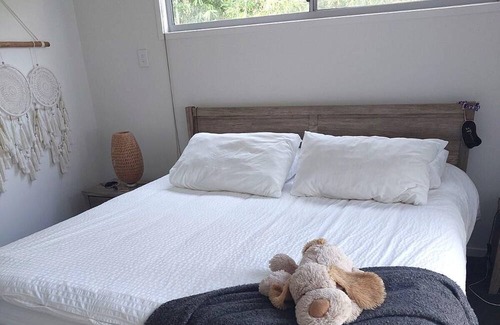 Buderim House | Bellavista - Peaceful home near beach & rainforest/waterfall
