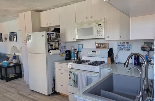 Fenton Apartment | Tiny Home Living on Lake Fenton