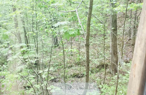 Stanton Cabin | The Little Lodge of Red River Gorge