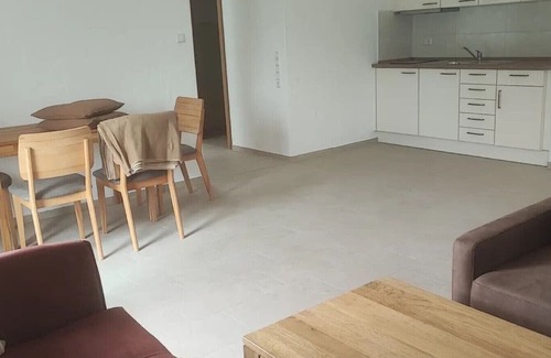 Weissenstein Apartment | Apartment in A Hotel 'Einhorn' with Mountain View, Shared Terrace and Wi-Fi