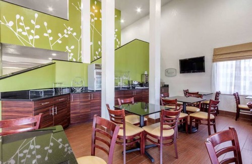 Temple Terrace Hotel | Relax in Comfort Near Busch Gardens, Adventure Island & USF Campus