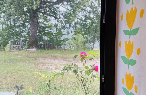 Casteldelci Apartment | House in the woods with mountain views