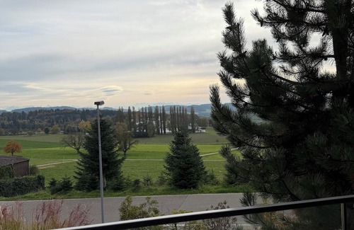 Dietikon District Condo | Lux Duplex apartment with Sauna & Cold plunge 10 mins from Zürich city