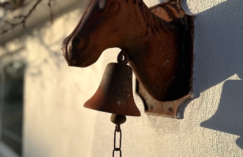 Silves Apartment | Room 'Orange Blossom Grove - 2' with Shared Terrace, Wi-Fi and Air Conditioning