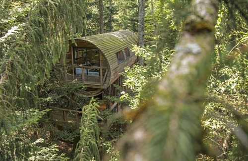 London Bed & Breakfast | Cozy cabin