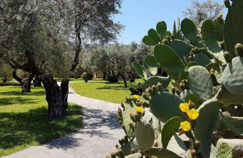 Isca Marina Apartment | 1BR Alloggio Apartment