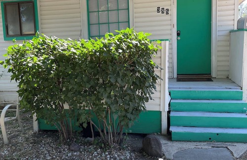 Mountain Home Apartment | Comfy Abode, pet friendly 3 bedroom apartment in Mountain Home with WiFi and AC.